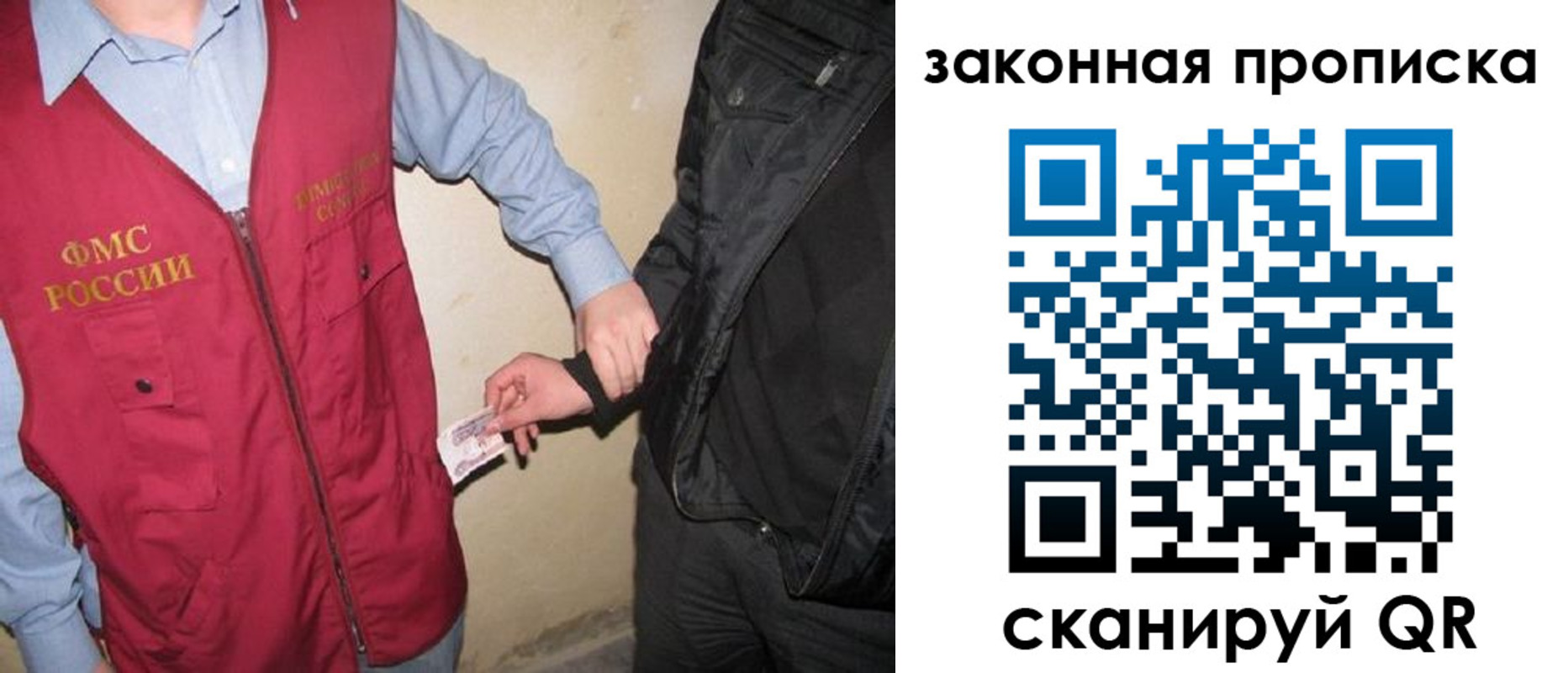 прописка для школы в Димитровграде