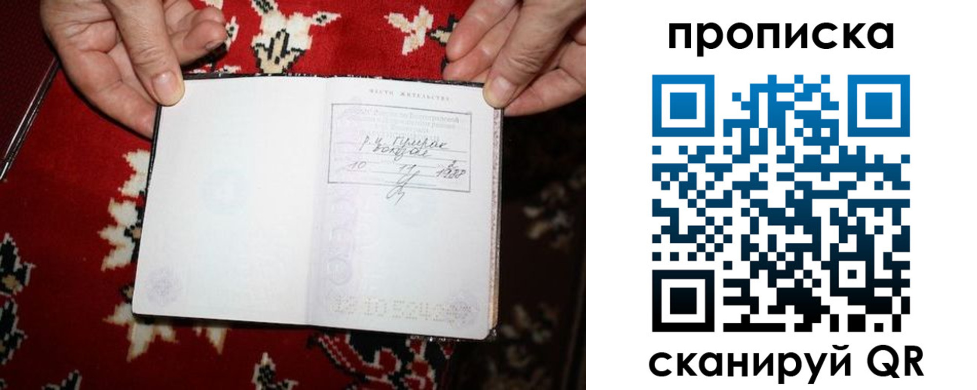 где прописаться в Димитровграде